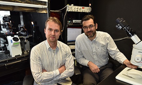 Frans Vinberg, and Vladimir Kefalov PI  in lab